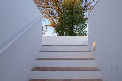 Agroturismo Casa Modesta