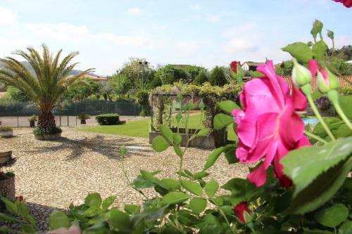 Bed & Breakfast Quinta Da Vinha Morta