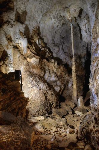 Hostal Pensiunea Viorica