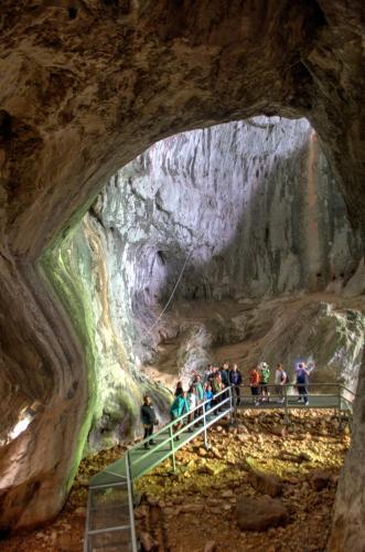 Hostal Pensiunea Viorica