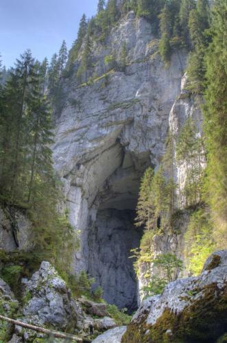 Hostal Pensiunea Viorica