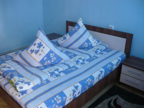 Hostal Pensiunea Daiana