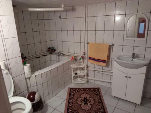 Hostal Pensiunea Daiana