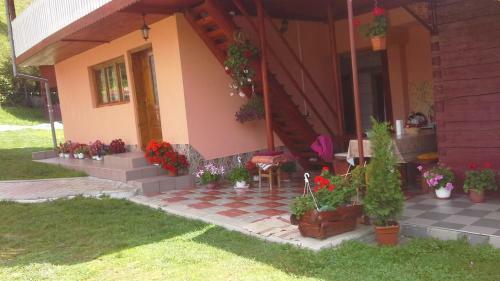 Hostal Pensiunea Daiana