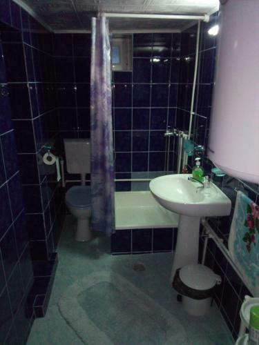 Hostal Pensiunea Daiana