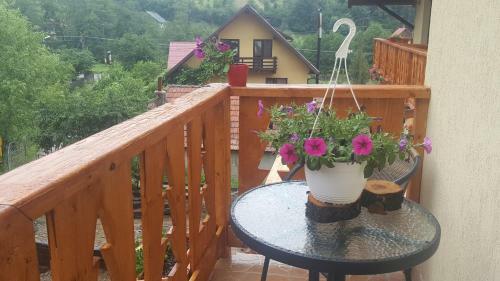Hostal Casa Mon Reve