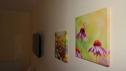 Hostal Casa Mon Reve