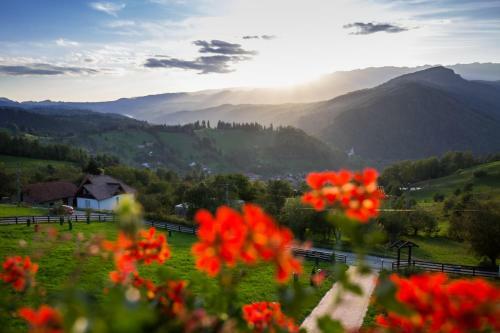 Hostal Bran Monte Crai Chalet