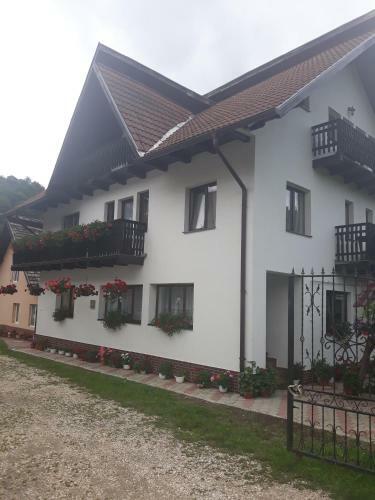 Hostal Casa Flavius