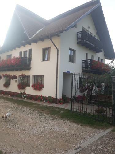 Hostal Casa Flavius