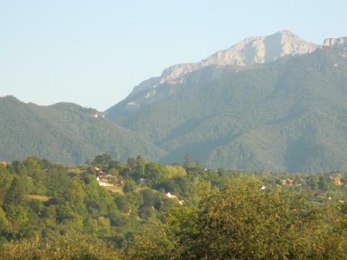 Hostal Elder Villa