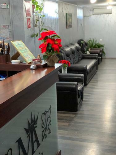 Hostal Pensiunea Adriano