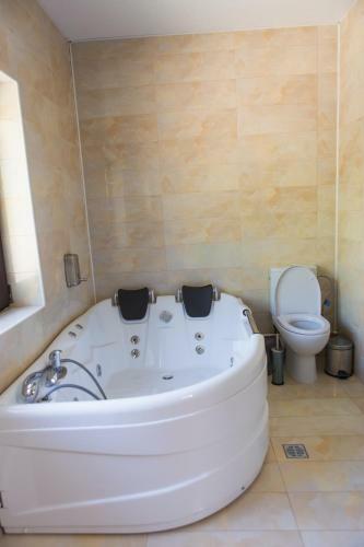 Hostal Pensiunea Dallas