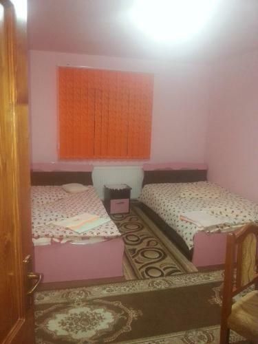 Hostal Pensiunea Floare De Colt