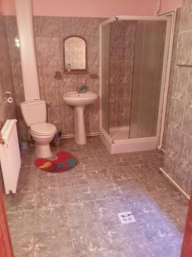 Hostal Pensiunea Floare De Colt