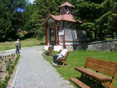 Hostal Vila Veverita