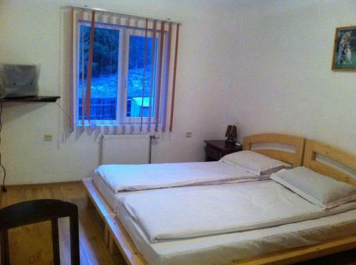 Hostal Vila Sport Borsec