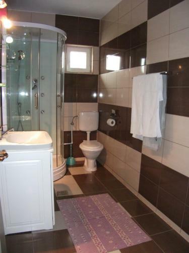 Hostal Vila Sport Borsec