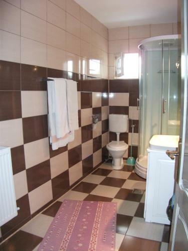 Hostal Vila Sport Borsec