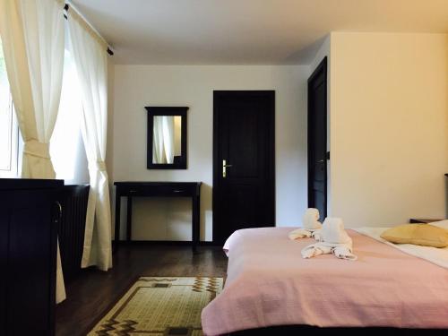 Hostal Casa Codrin