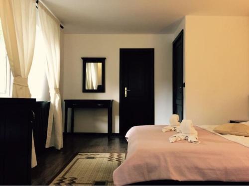Hostal Casa Codrin