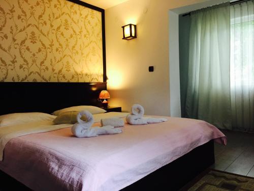 Hostal Casa Codrin