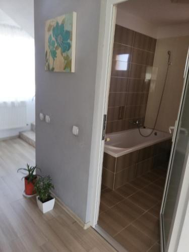 Villa Casa Luca Ama Bran