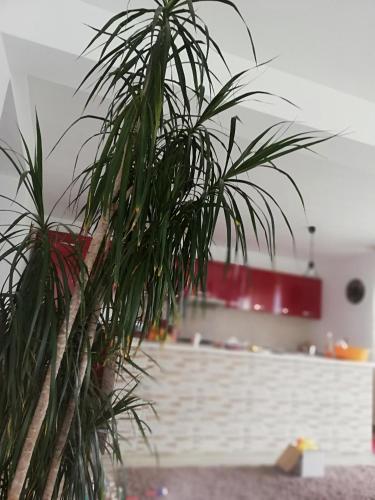 Villa Casa Luca Ama Bran
