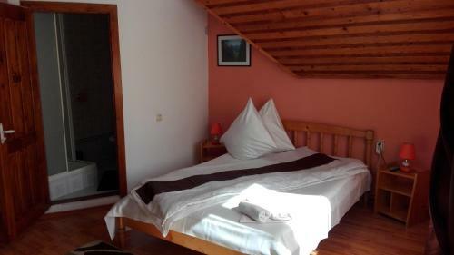 Hostal Pensiunea Alpin
