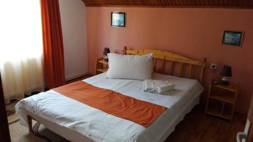 Hostal Pensiunea Alpin