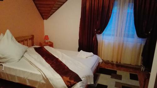 Hostal Pensiunea Alpin