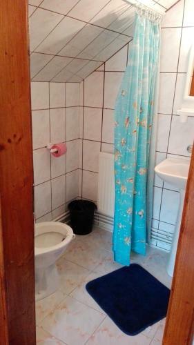 Hostal Pensiunea Alpin