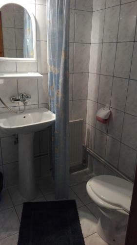 Hostal Pensiunea Alpin
