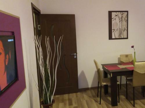 City Vibe Dream Apartments
