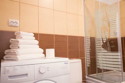 Sunny Old Town Apartment Brasov