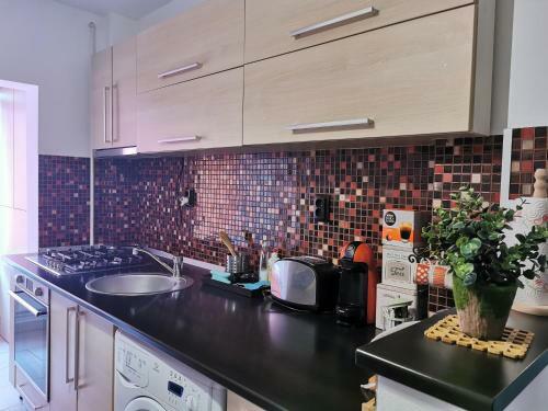 Mihai Viteazul 40 Apartament