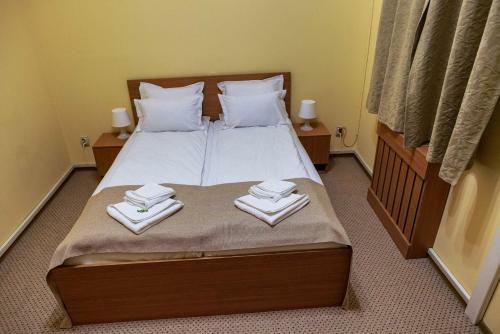 Hotel Bucharest Downtown Inn