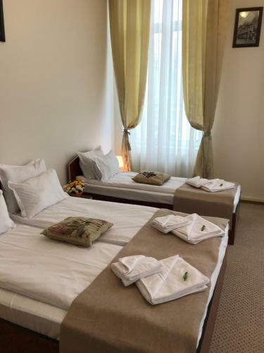 Hotel Bucharest Downtown Inn