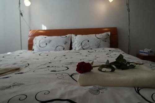 Apartamento Cat Victoriei