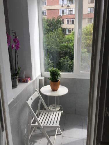 Apartamento Marcy Studio
