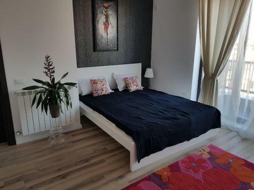 Like Home Apartments
