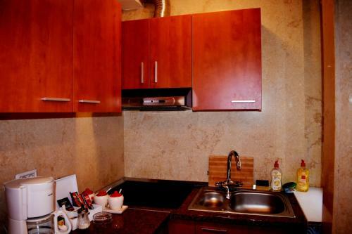 Apartamento Grand Central Accomodation Doamnei2