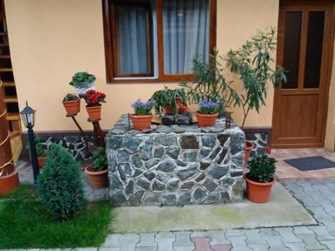 Hostal Casa Floare De Colt