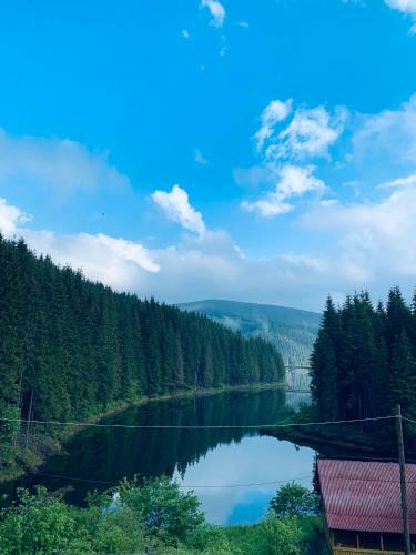 Hostal Cabana Cerbul-oasa-transalpina