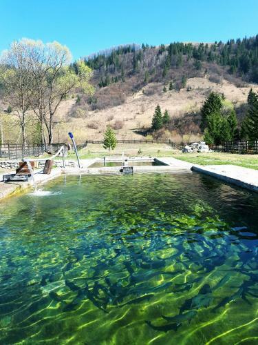 Hostal Royal Bucovina Residence