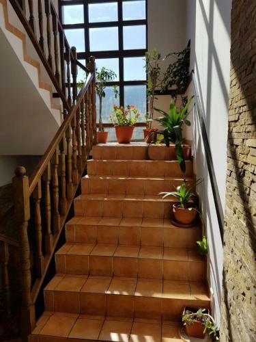Hostal Royal Bucovina Residence