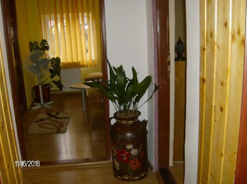 Vinatoru Apartments