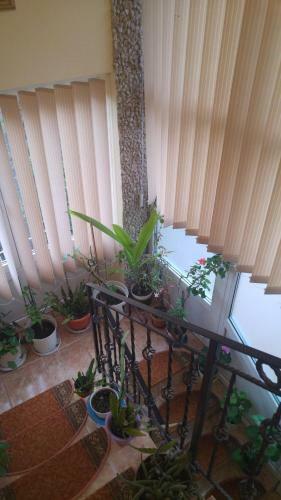 Vinatoru Apartments