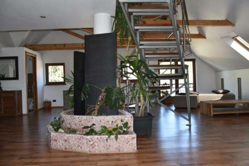 Apartamento Grigorescu Lux Residence