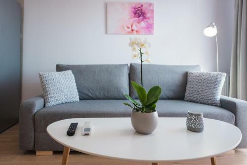 Zen Apartments Cluj